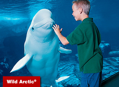SeaWorld San Diego Kid's Free Single Day  - Acima de 3 anos